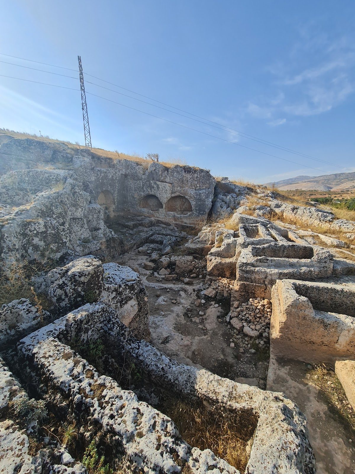 Pirin Ören Yeri - 3
