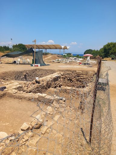 Ancient City of Parion - 4