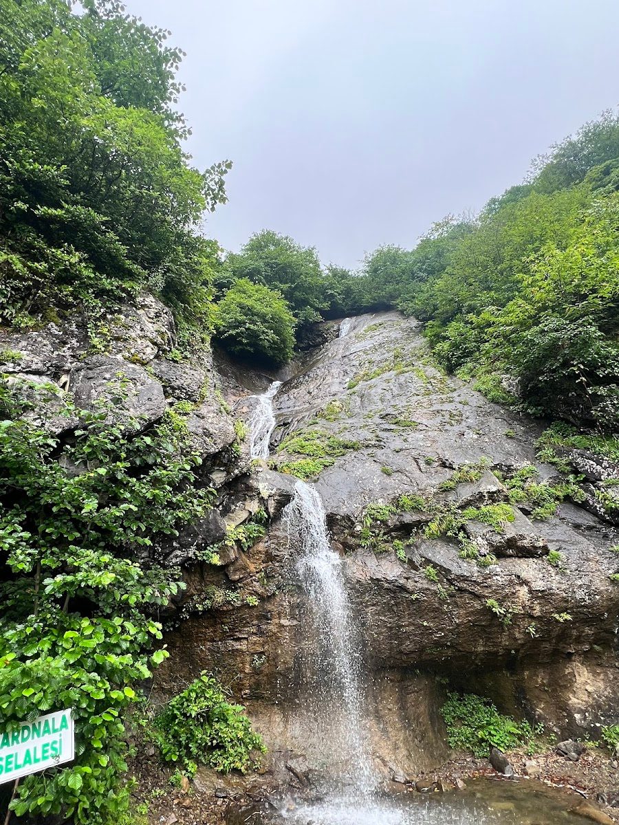 شلال باردنالا