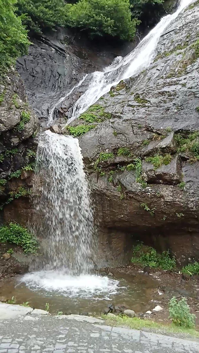 Bardnala Şelalesi - 1