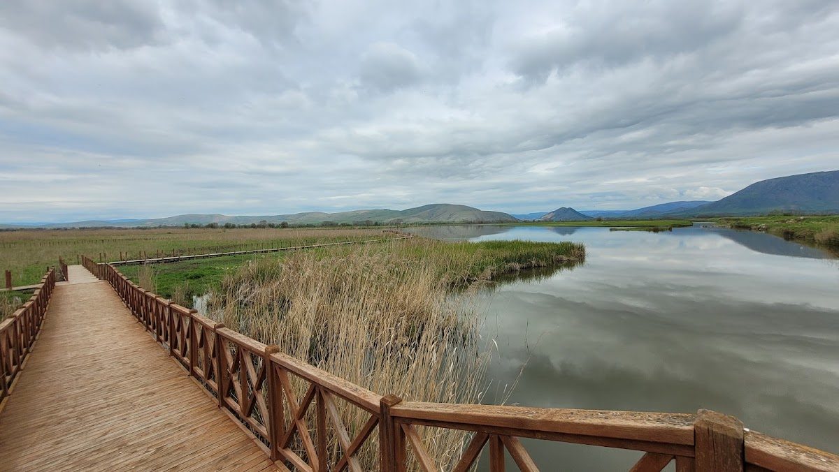Kaz Lake Wildlife Development Area