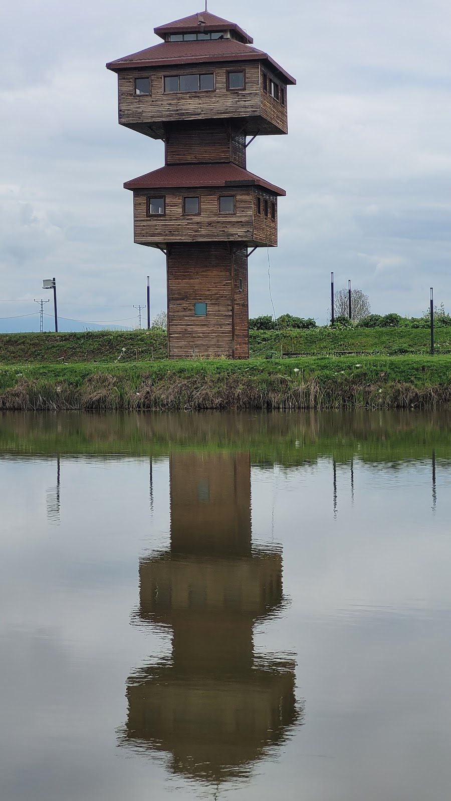 Kaz Lake Wildlife Development Area - 3