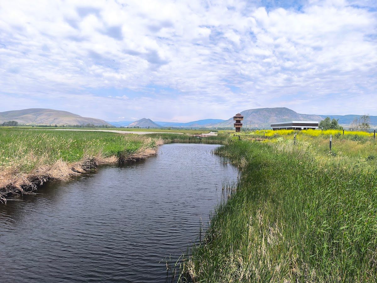 Kaz Lake Wildlife Development Area - 5