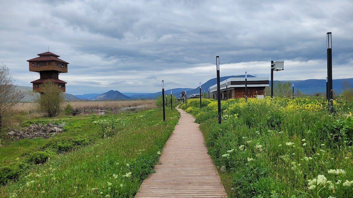 Kaz Lake Wildlife Development Area - 6