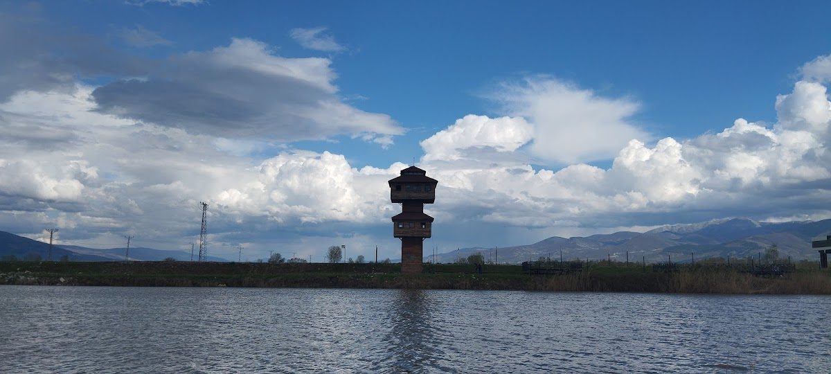 Kaz Lake Wildlife Development Area - 7