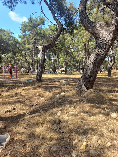 Antalya Park Orman - 1