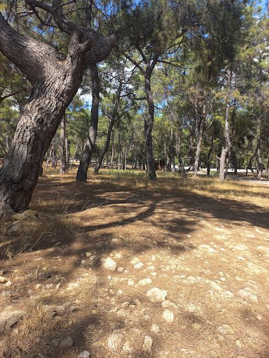 Antalya Park Orman - 2