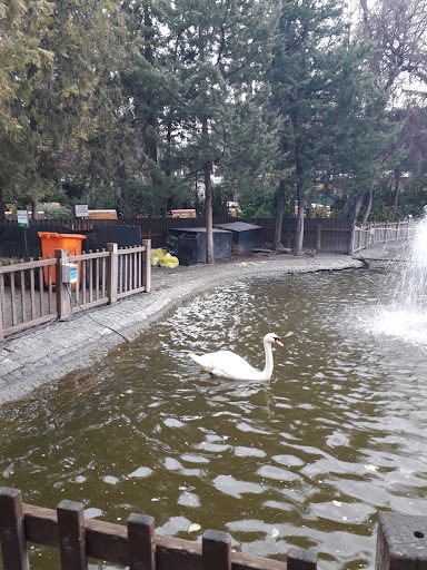 Kuğulu Park - 3