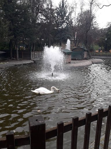 Kuğulu Park - 4