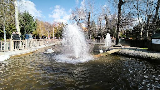 Kuğulu Park - 6