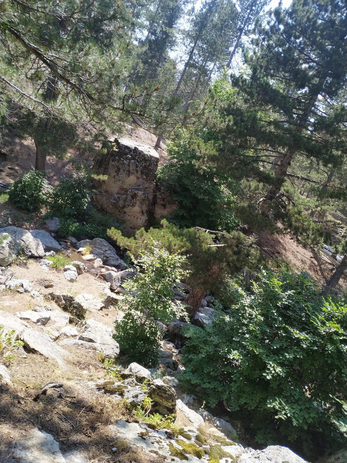 Zorkun Yaylası - 3
