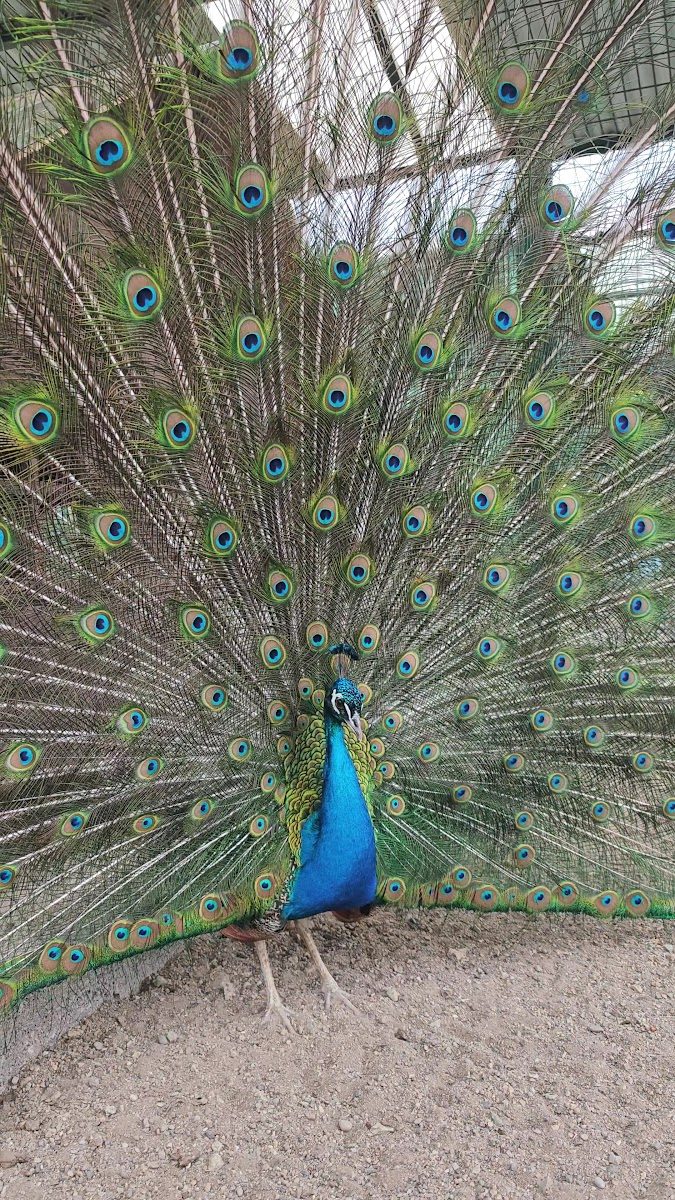 Giresun Municipality Zoo