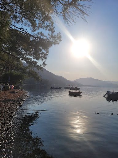 Çubucak Orman Kampı - 3