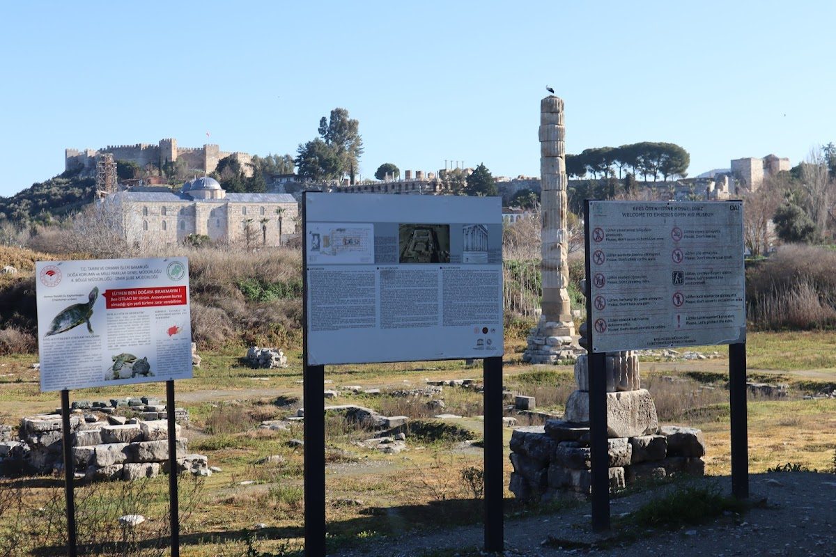 Artemis Tapınağı Kalıntıları - 5