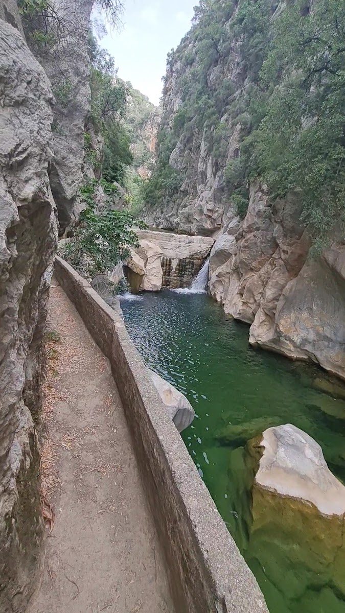 وادي كارتال - 1