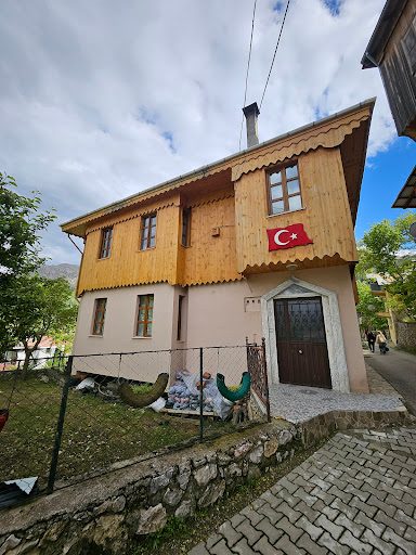 Ahmet Kutsi Tecer Culture House