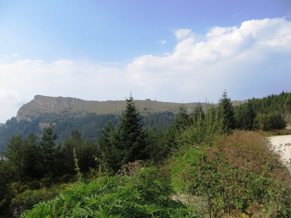 Ayı Kayası Şelalesi
