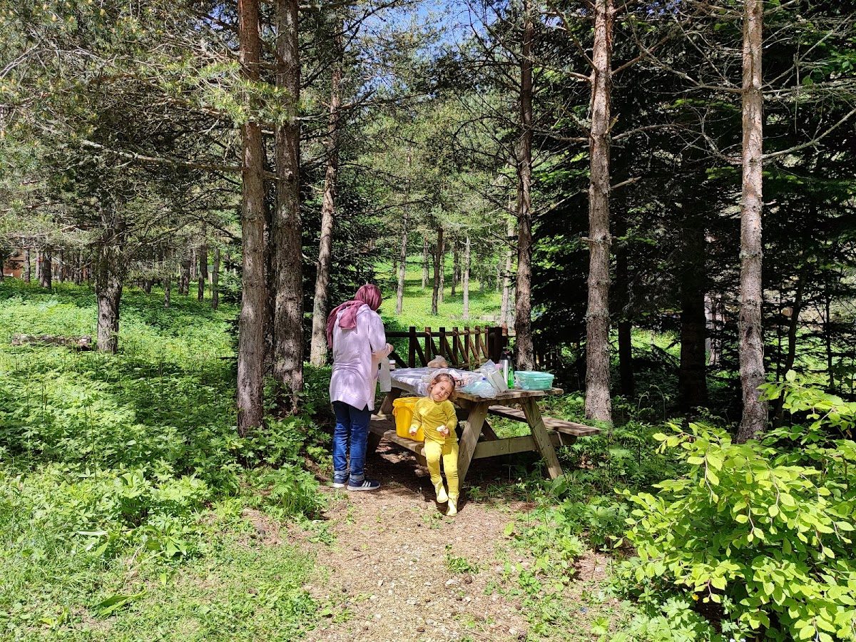 Ayı Kayası Şelalesi - 5