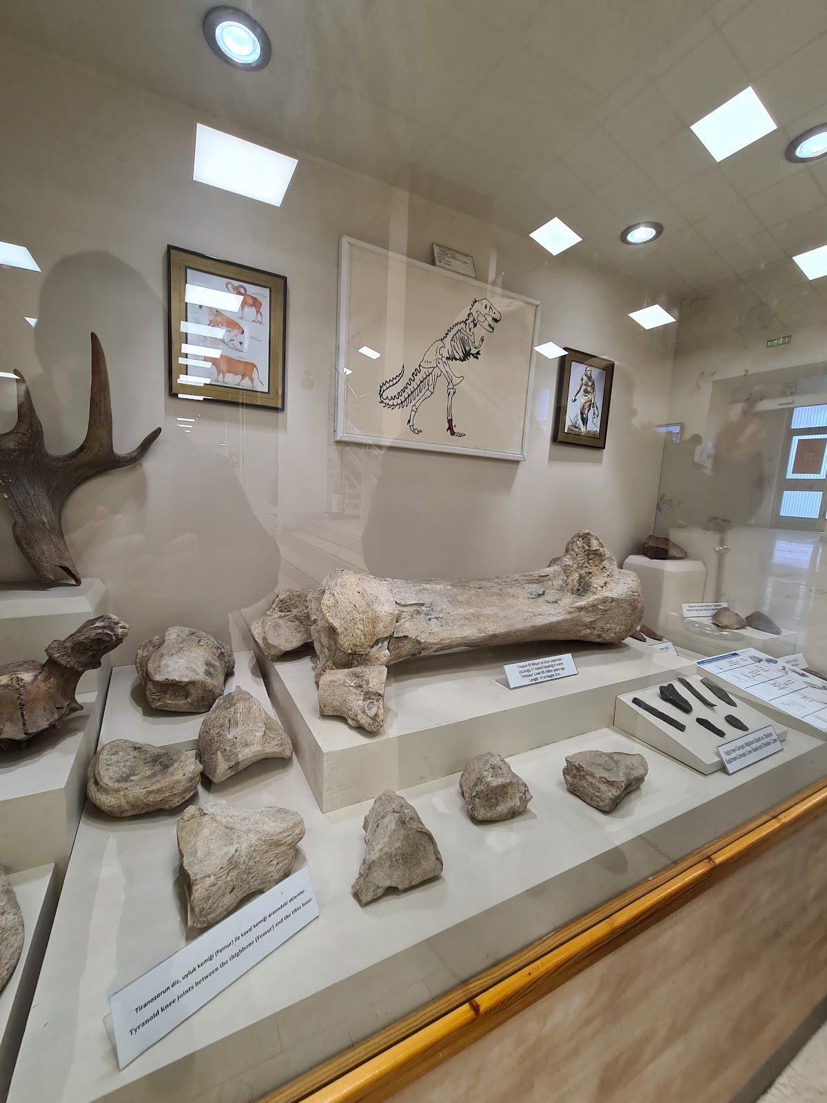 Kars City History Museum - 4