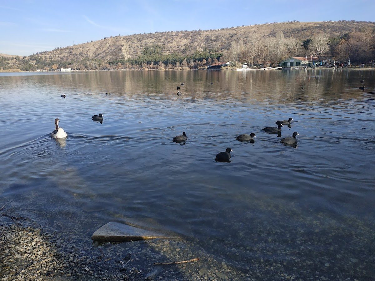 ODTU Eymir Lake Facilities - 5
