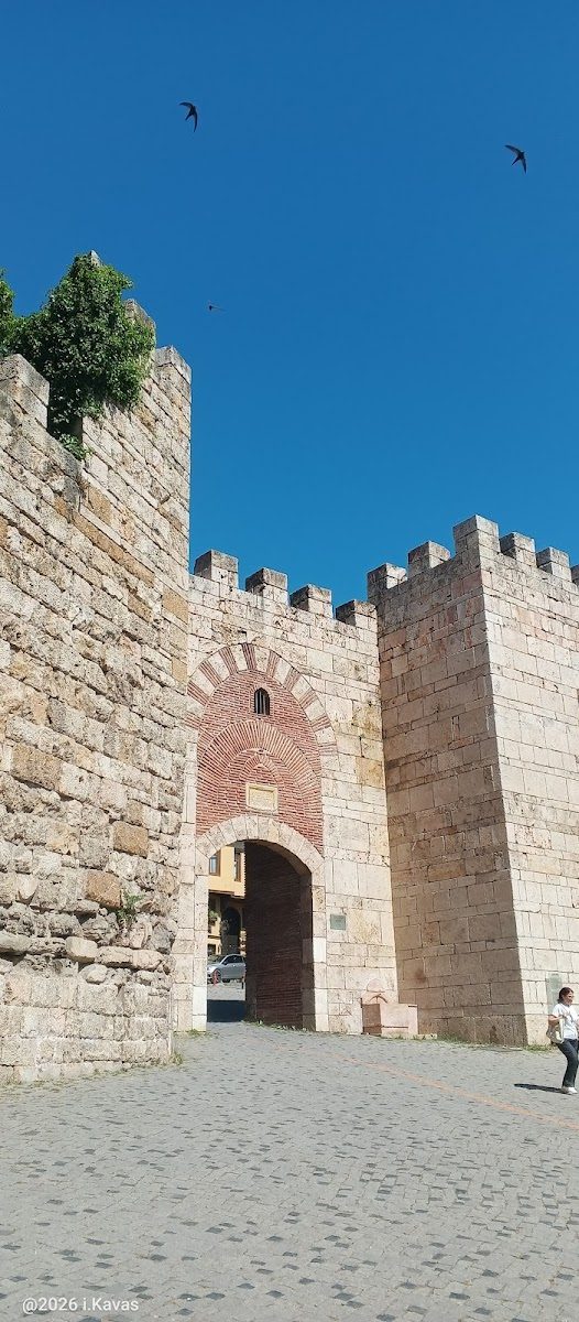 بوابة السلطنة - 1