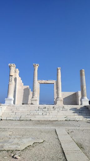 بيت حفريات لاوديكيا