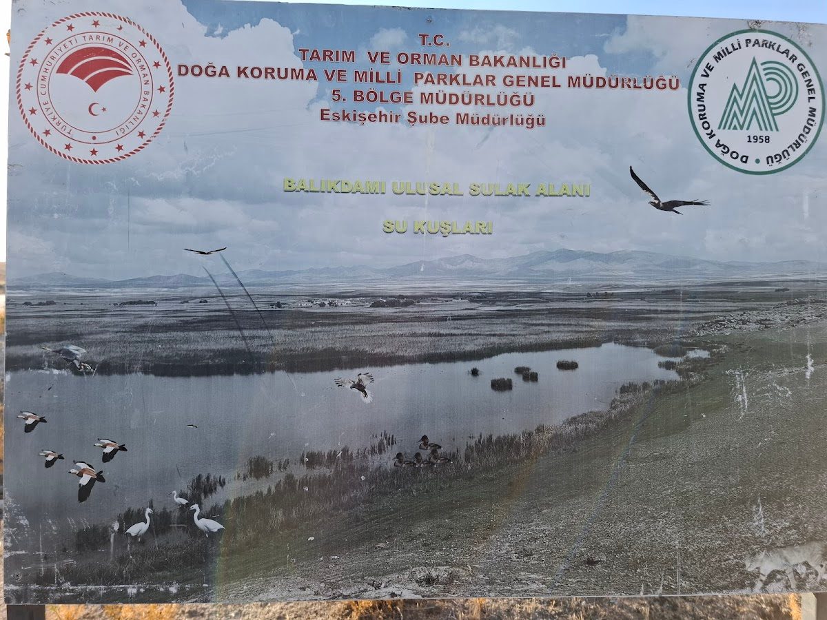 Balıkdamı Kuş Cenneti - 5