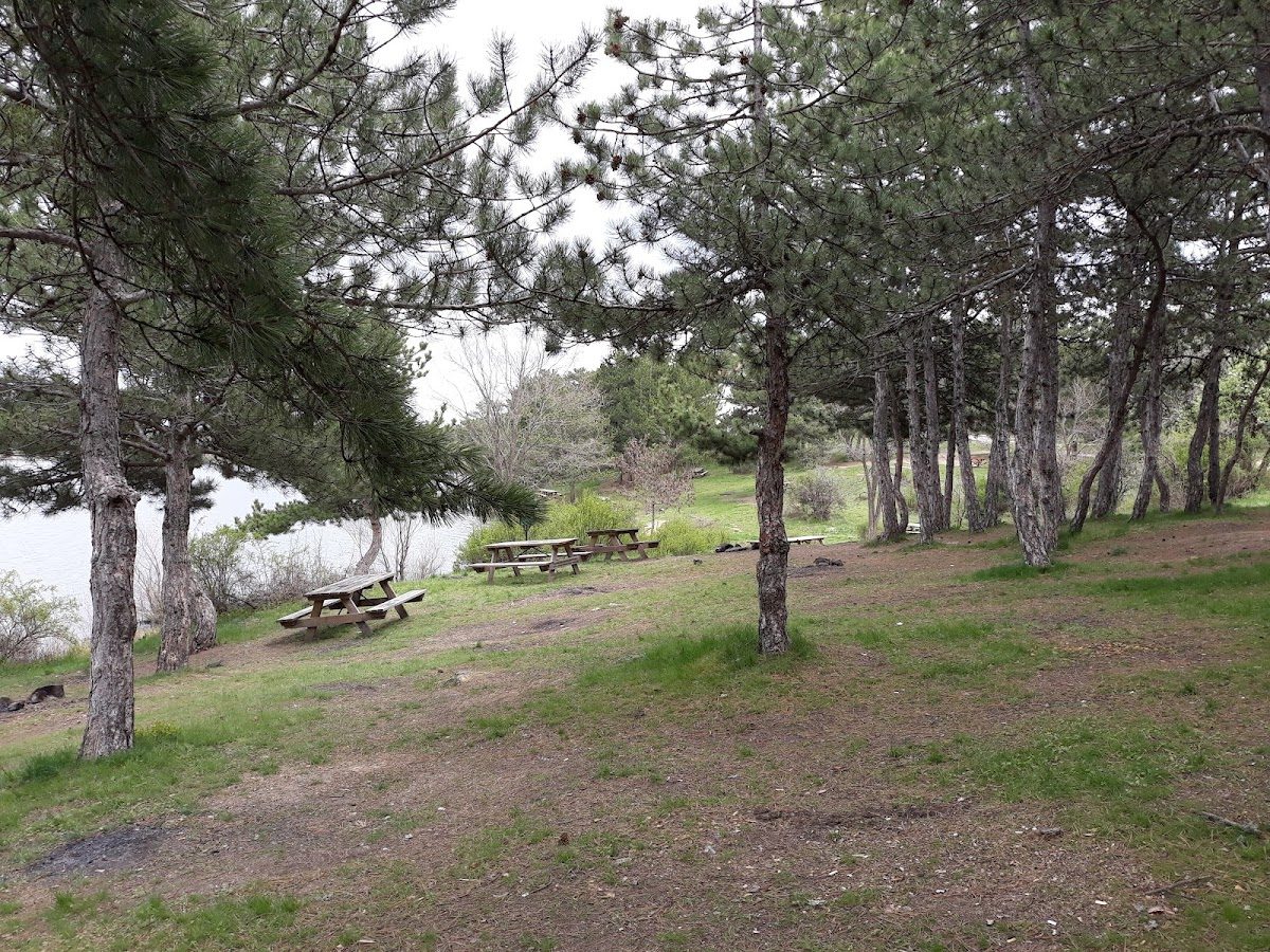 Sorgun Göleti Tabiat Parkı - 5