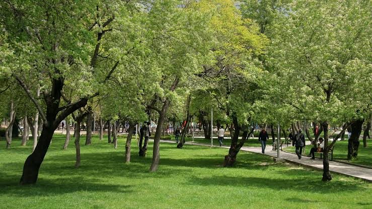 Kurtuluş Park - 4
