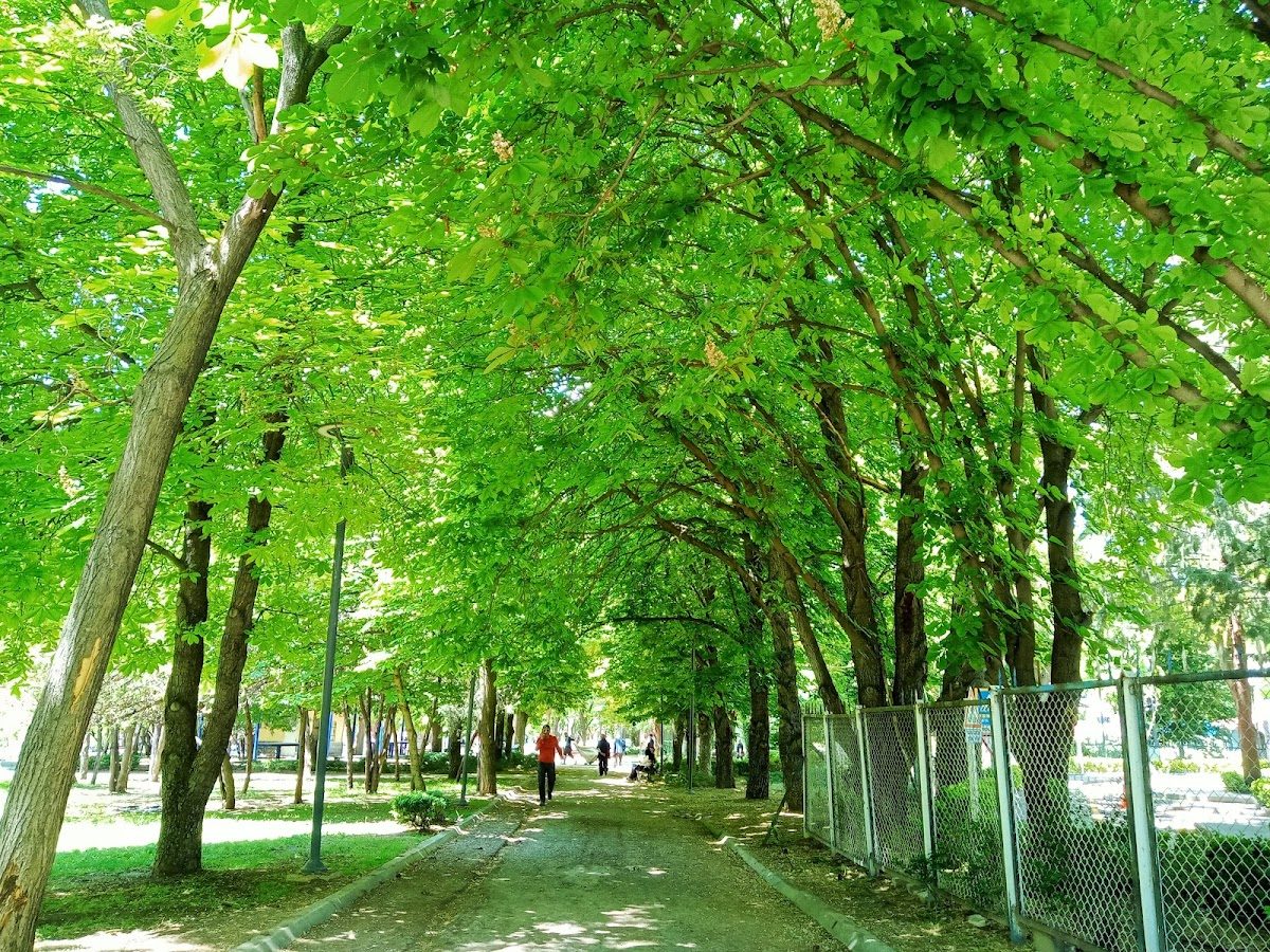 Kurtuluş Park - 6
