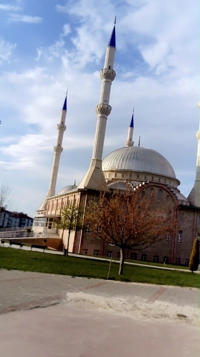 Denizli Hilal Mosque - 2