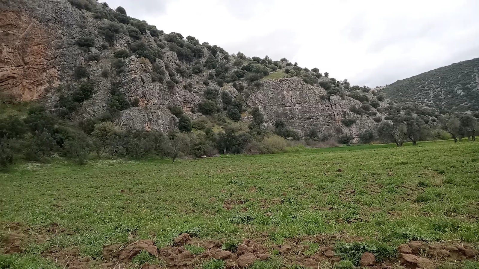 Ballı Dağ Höyüğü - 1