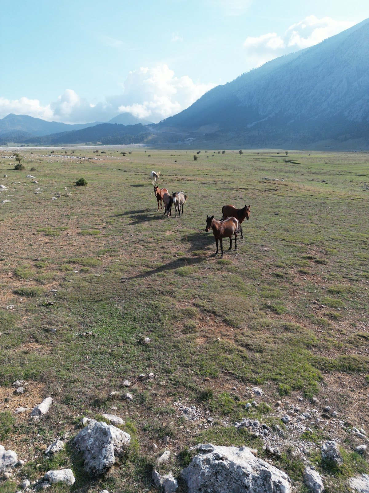 Eynif Plain - 3
