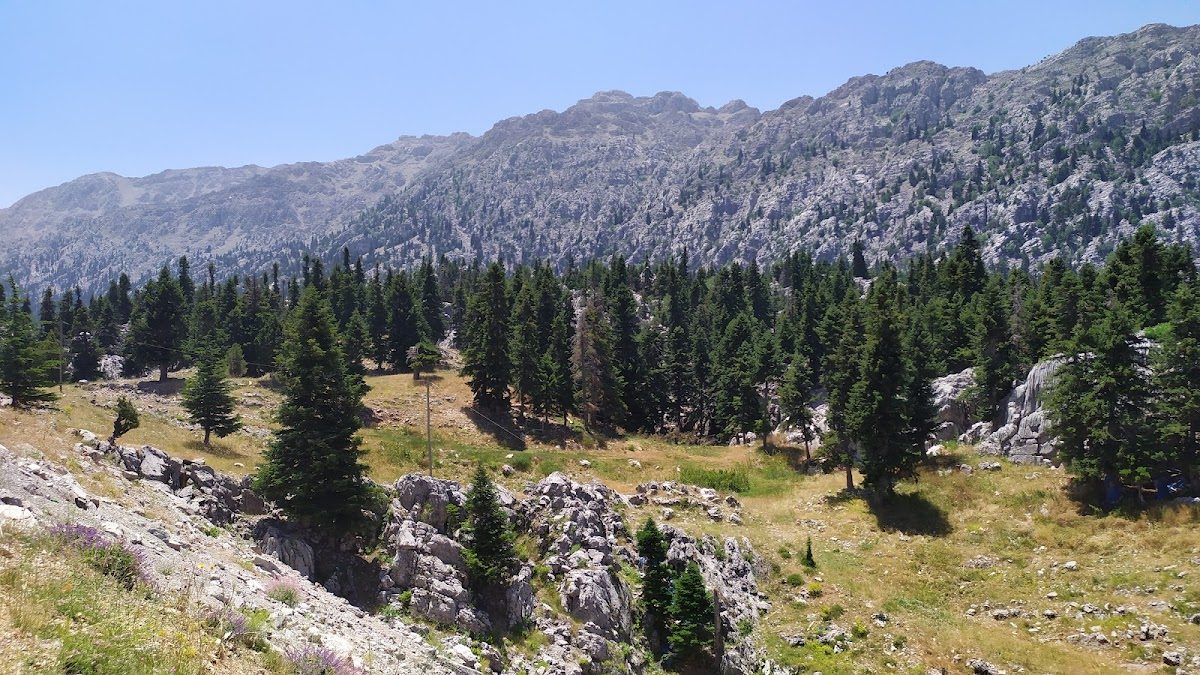 Eynif Plain - 4