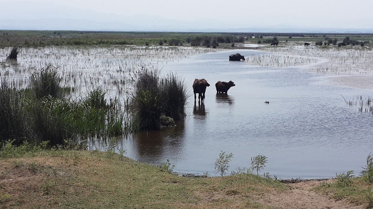Kızılırmak Delta Bird Sanctuary