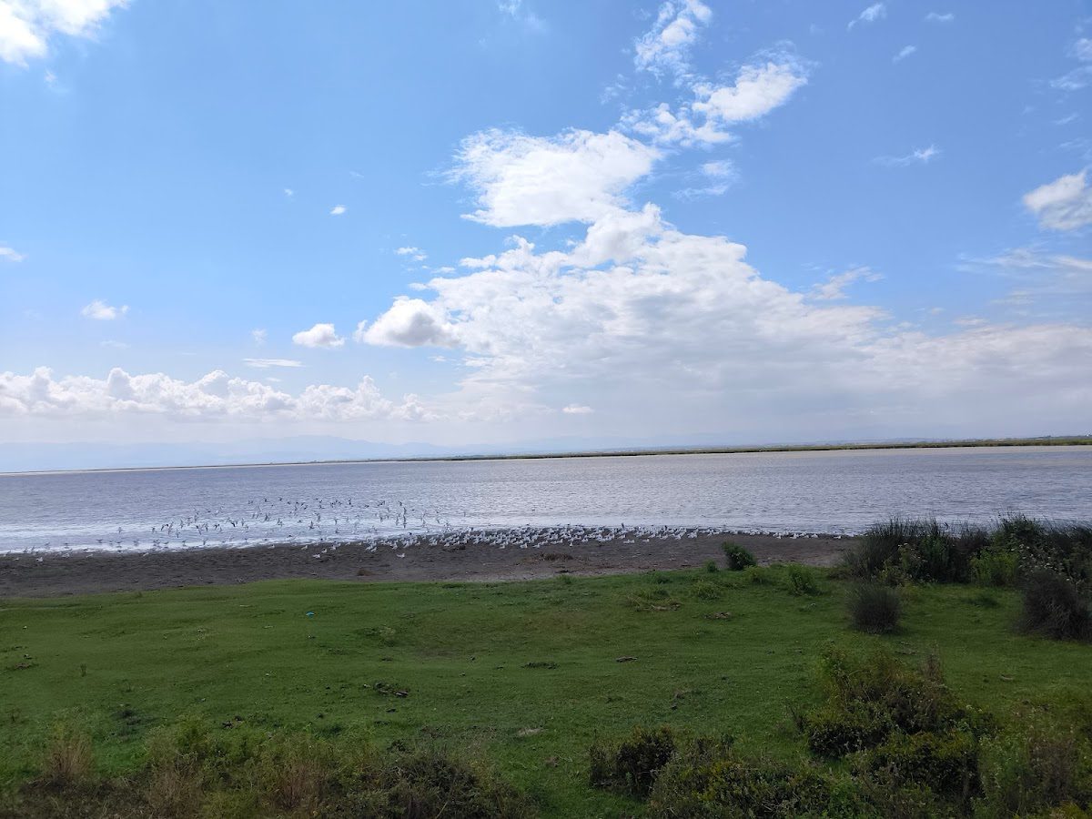 Kızılırmak Delta Bird Sanctuary - 5