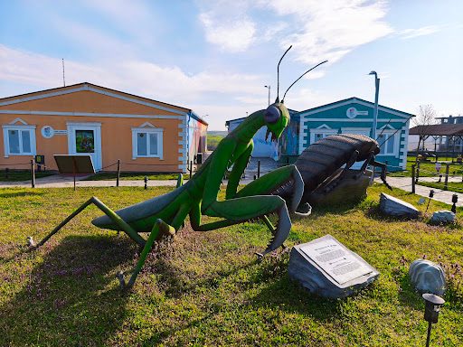 Hasan Ali Yücel Children's Museum - 1
