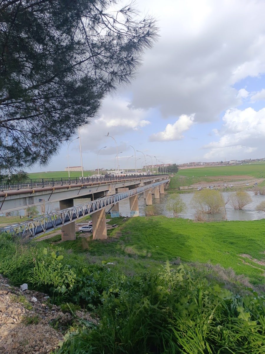 جسر باغيفر - 2