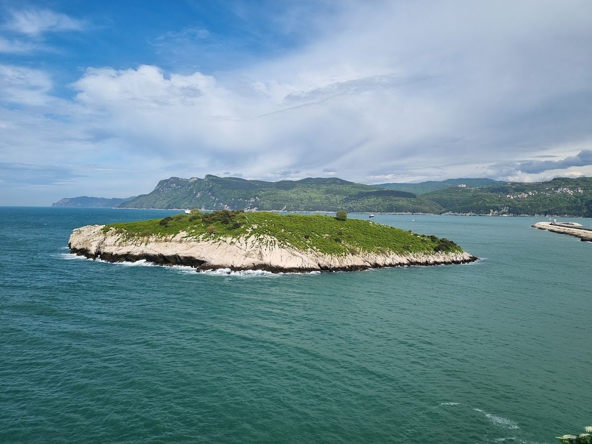 Amasra Crying Tree - 3