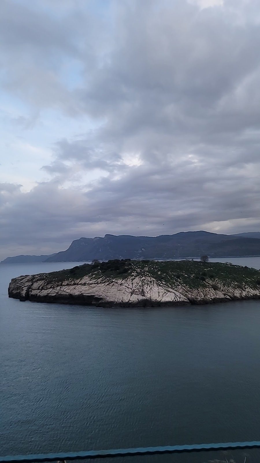 Amasra Crying Tree - 5
