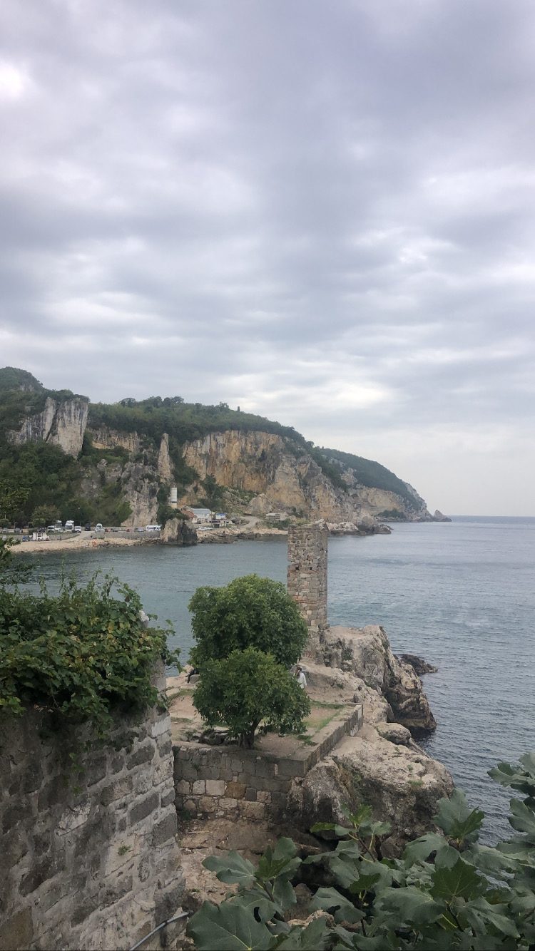 Amasra Crying Tree - 6