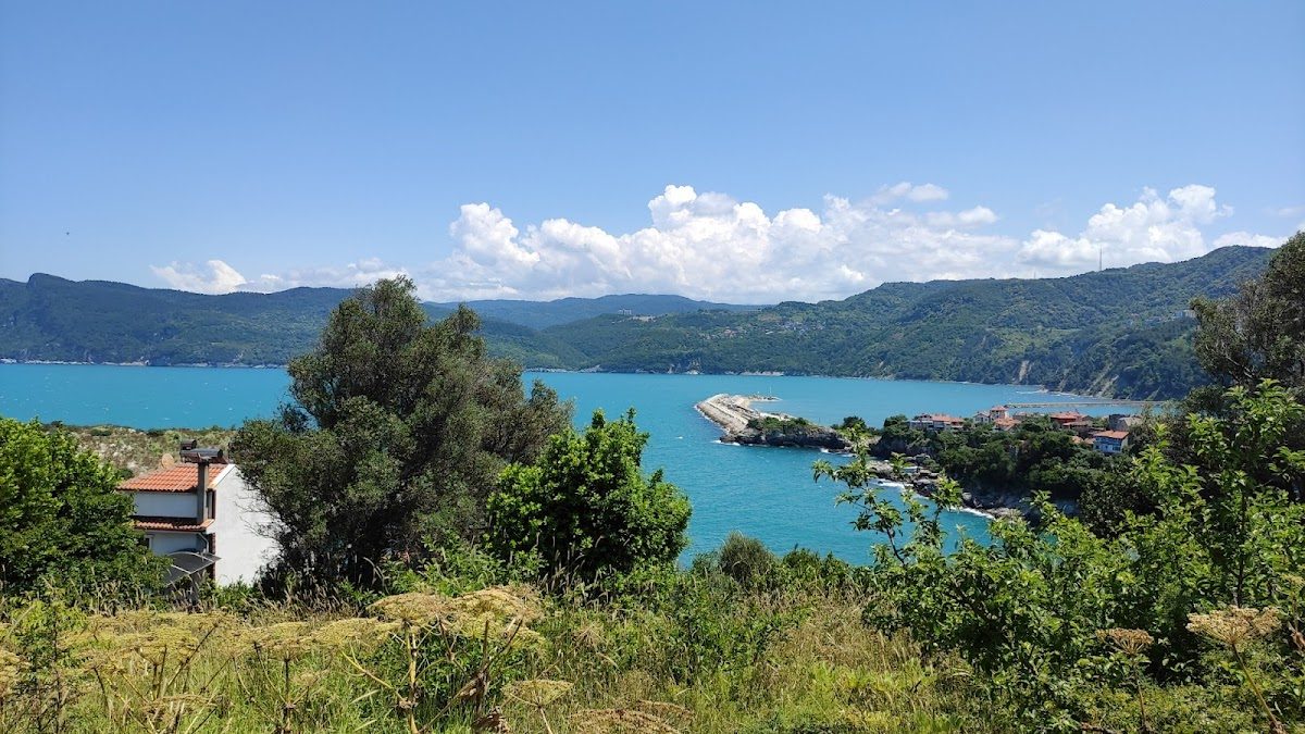 Amasra Crying Tree - 7