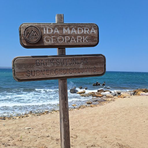 البحيرة القلبية