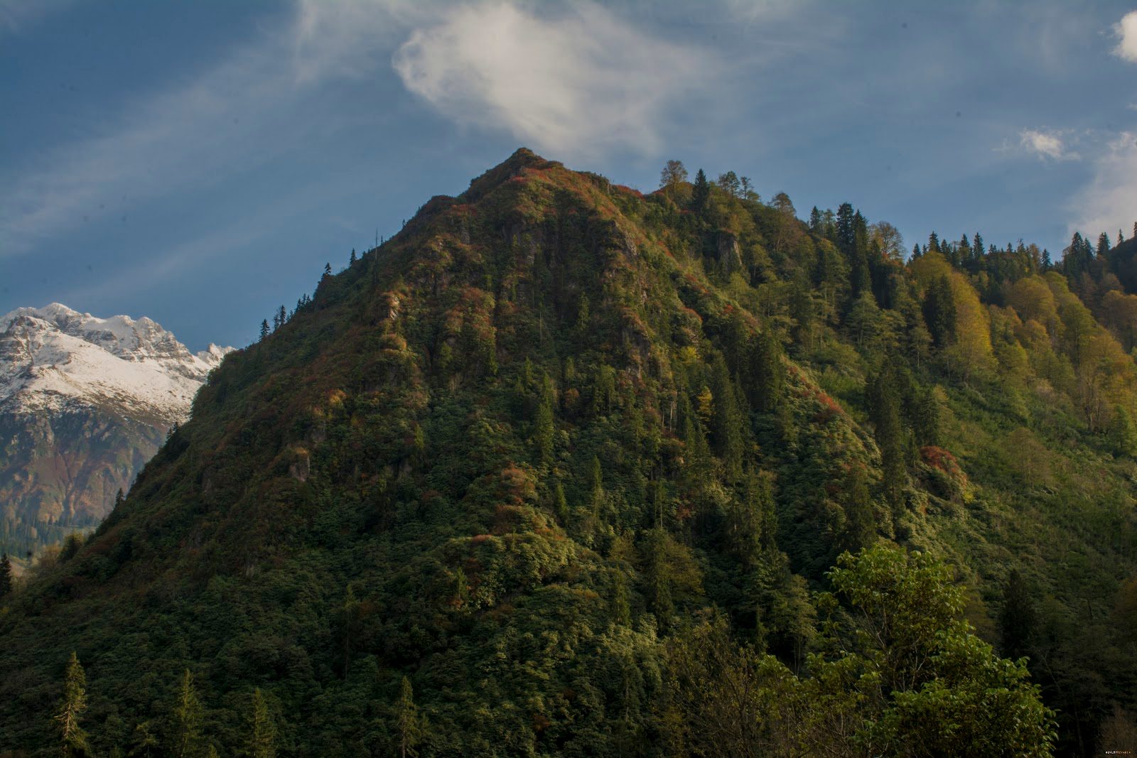 Camili-Gorgit Nature Reserve - 1