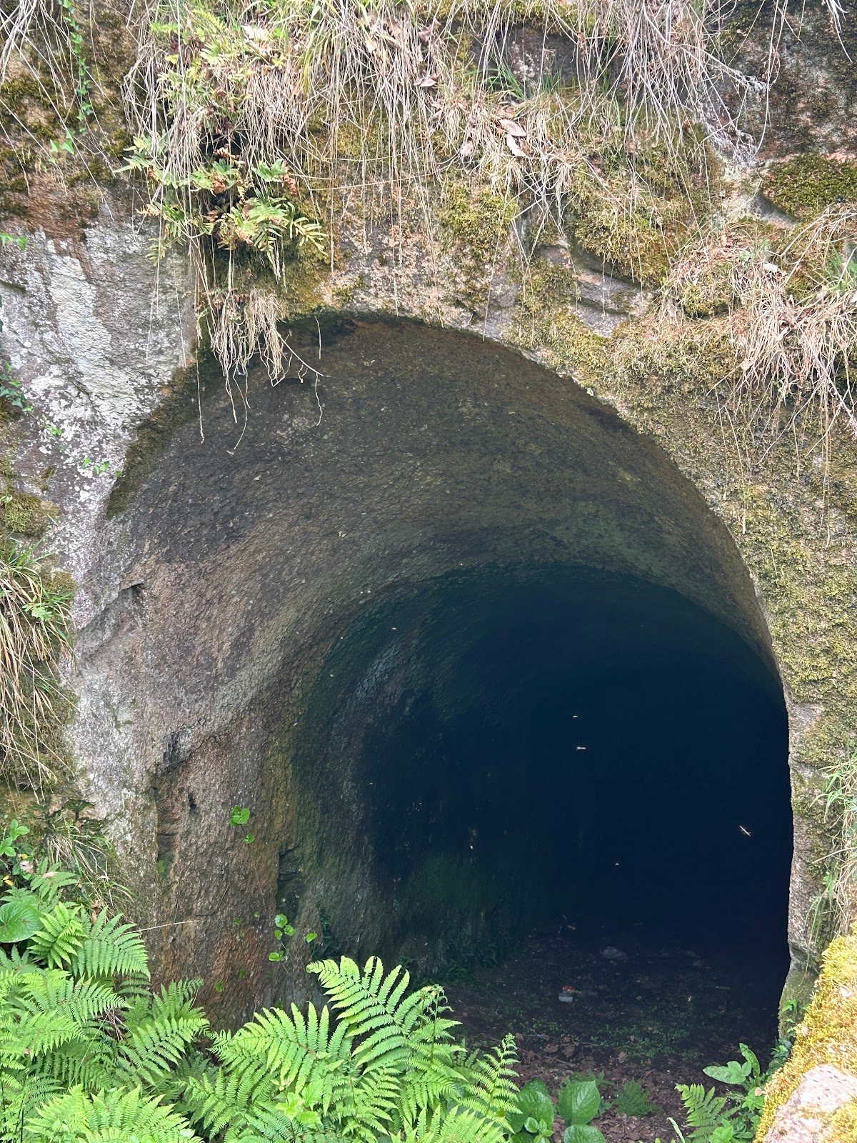 Cingırt Rock