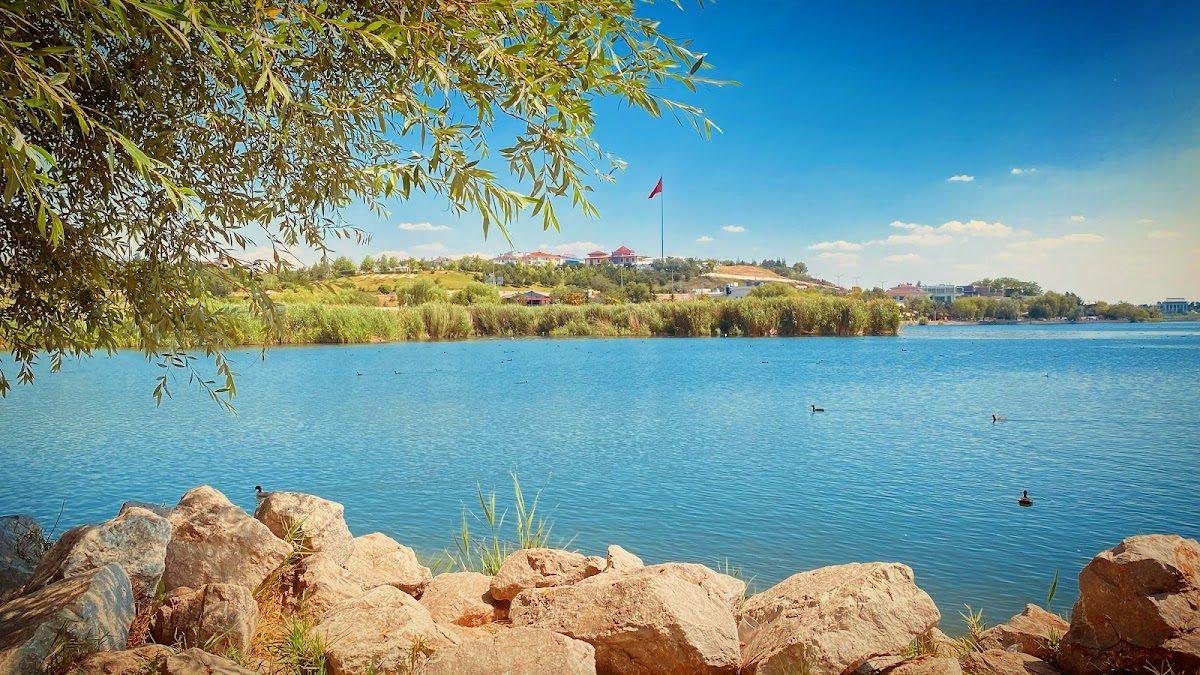 Mogan Gölü Sulak Alanı - 3