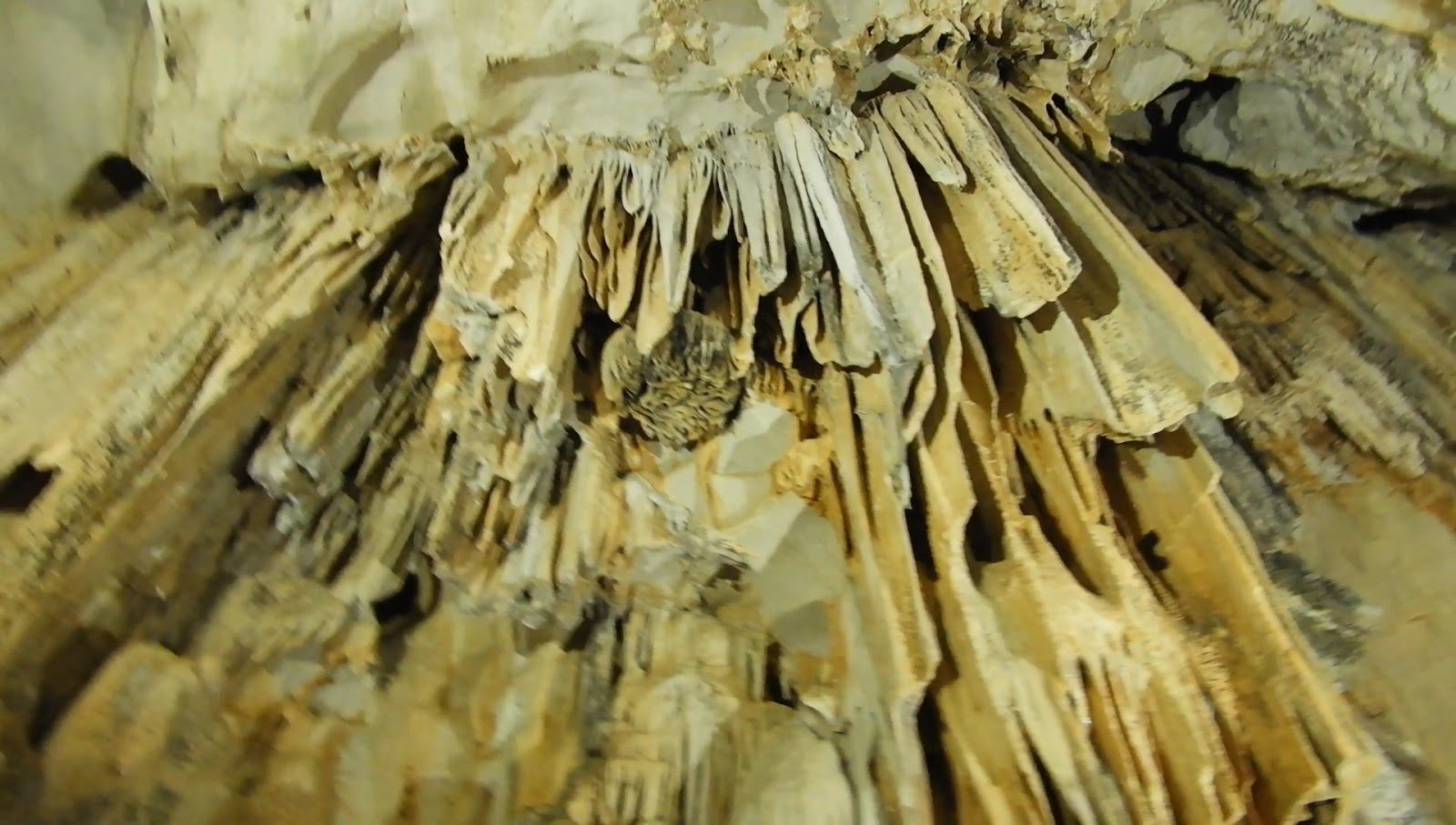 Dwarfs Cave - 1