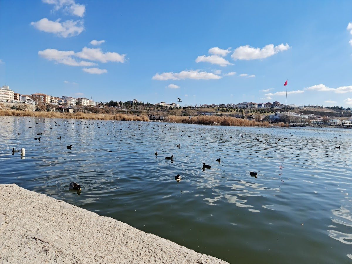 Atatürk Coastal Park - 5