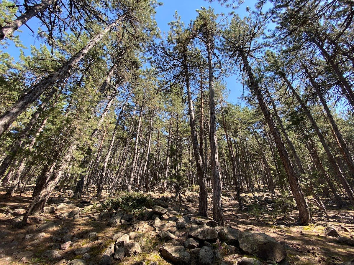Çamlıdere Aluçdağı Nature Park