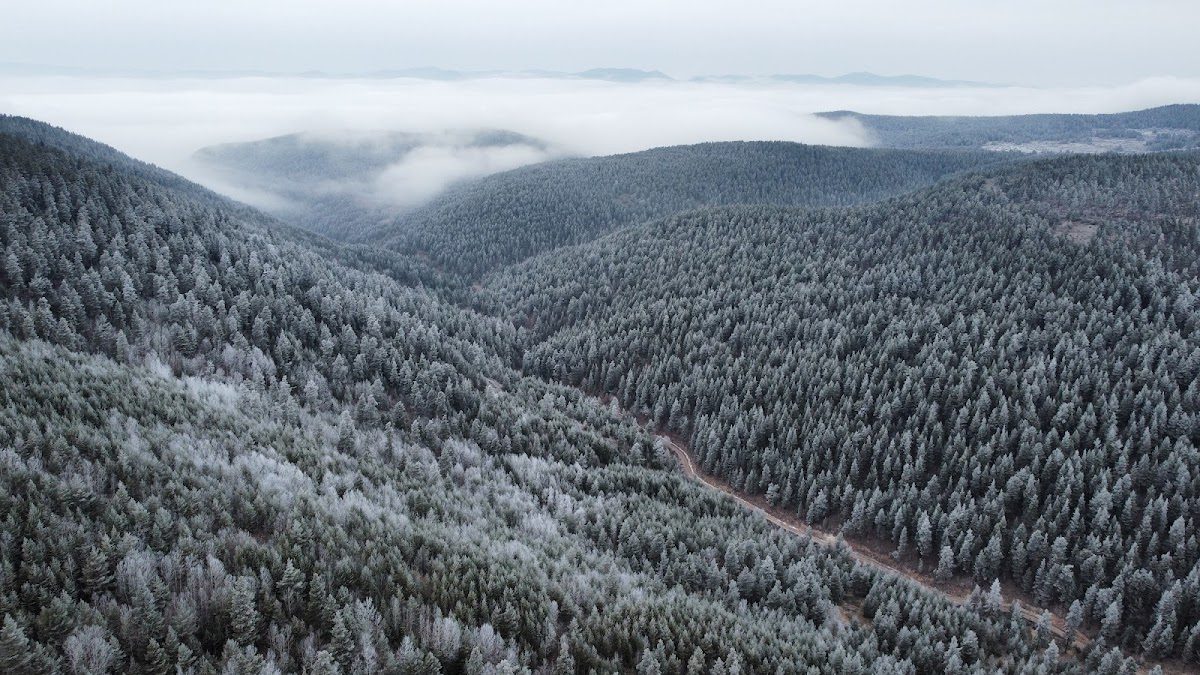 Çamlıdere Aluçdağı Nature Park - 3